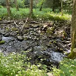 Le Du Coeur Σαλέ Mittlach