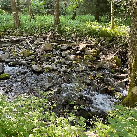 Le Du Coeur Alpstuga Mittlach