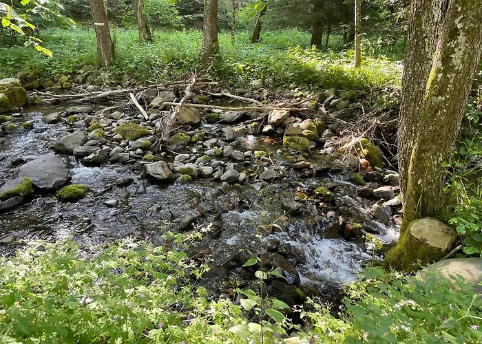 Le Du Cœur Chalet Mittlach